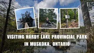 Welcome to Hardy Lake Provincial Park in Muskoka, Ontario