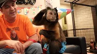 Capuchin Monkey Birthday Party! Happy Birthday MonkeyBoo!