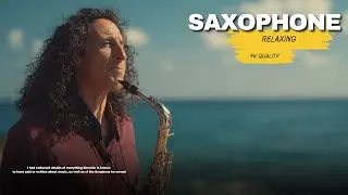 LIVE Saxophone Concert Music for Studying Focus Stress Relief | Long Ambient Stream 24/7 4KHD!