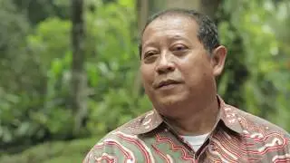 What do pineapples, coconuts and honeybees have in common? | CIFOR scientist Dede Rohadi
