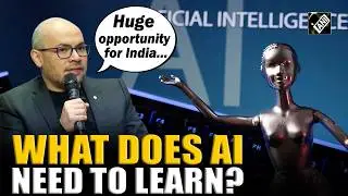 AI Summit: Google DeepMind CEO opens up on aspects Artificial Intelligence still needs to learn