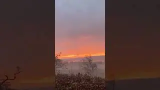 The view of nature #view #nature