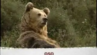 Ben Falado. Capítulo 47