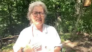 Planetary Energy Forecast -- Week of July 4, 2022