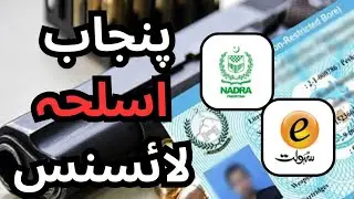 PUNJAB Arm Licence | Step by Step Guide via NADRA eSahulat