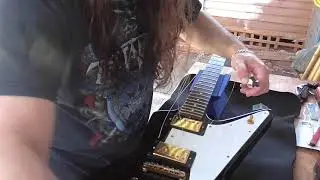Tokai Explorer Set up