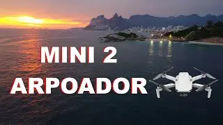 MINI 2 ARPOADOR