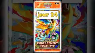 Jour 24 de 