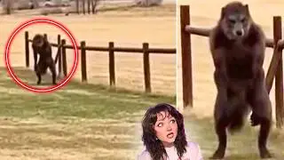SCARIEST Nightmare Inducing CRYPTIDS & More Caught on Camera 2026