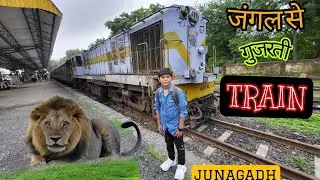 शेरो के निवास 
