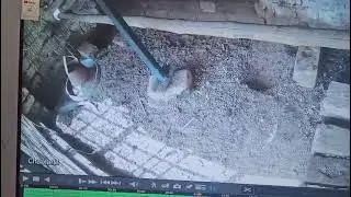 Caught on Camera: Monitor Lizard vs Hen&rsquo;s Egg