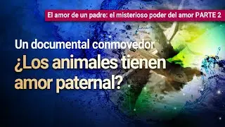 El amor de un padre florece incluso en un mundo de depredadores | Iglesia de Dios, Ahnsahnghong