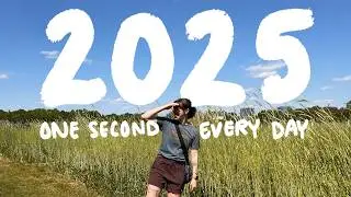 I filmed one second every day of 2025