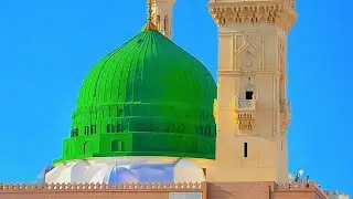 Md Jamshaid Alam  is live!