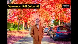 Vancouver Fall Colors #5