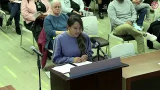 Village of Wheeling Board Meeting 11-3-2025