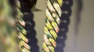 Chris Brown&rsquo;Chain
