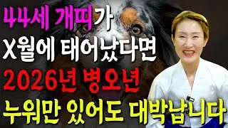 ⭐2026년 신년운세⭐ 1982년생 44세 개띠 운세｜생일이 X월이면 대박 확정! 82년생 개띠 운명 대공개