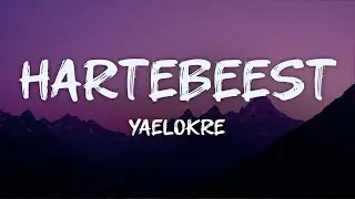 yaelokre - hartebeest (lyrics)