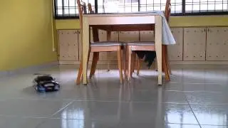 TRF416 Dining Table Drift