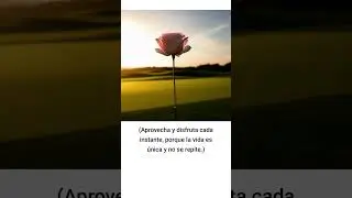 Famoso frases de Ben Hogan 1