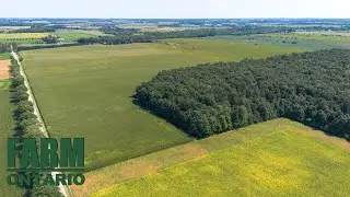 PT LT 1, CON 15 Blanshard, Perth South | Farms For Sale In Ontario