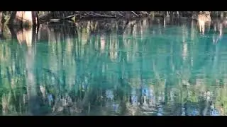Manatee Springs Chiefland Florida 