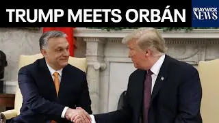 LIVE: Trump And Hungary&rsquo;s Viktor Orb&aacute;n Hold Working Lunch At White House