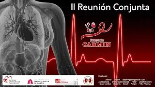 II Reuni&oacute;n Conjunta Carmin (9 de Abril 2022, sesiones completas)