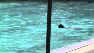 swim8