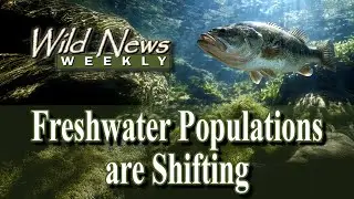Shifting Fish Habitats: How Climate Change Is Reshaping Freshwater Ecosystems / Reducing Dead Zones