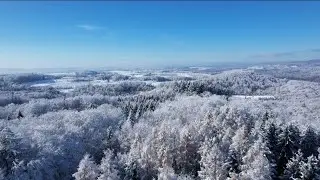 Magical Winter Vibes 