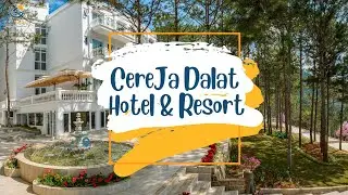 Cereja Hotel & Resort Dalat - Nghỉ dưỡng y&ecirc;n b&igrave;nh b&ecirc;n Hồ Tuyền L&acirc;m | Tico Travel