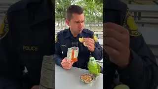 parrot eat thing with police man