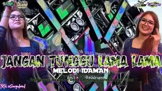 DJ JANGAN TUNGGU LAMA LAMA || DJ TRAP PARTY SANG ADMIN OFFICIAL || VIRAL TIK TOK 2026