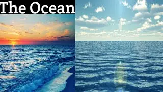 The Ocean 🌊 #oceans #encyclopedia #youtube