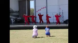Yang 40 Forms Demonstration at 2013 Chinese Festival Gala