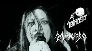 MURDERESS - Teimosia No Borders (FULL SET)