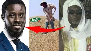 📍KEUR MADIABELMESSAGE DE CHEIKH MAHY NIASS KHALIF DE LA FAMILLE SERIGNE MBAYE NIASS AUX PR DIOMAYE