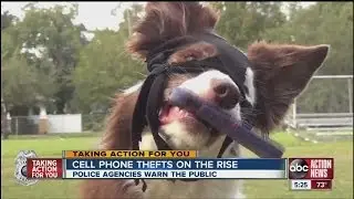 Cell phone thefts rising across the nation