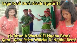 Lagu Kodi || Gara Gara Pesta Woleka Di Ngahu Bero || A tutun A Wolek El Ngahu Bero || Ciri Khas Kodi