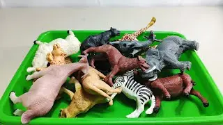 Cow Giraffe Elephant Tiger Panda Rhinoceros Animal Toys, ASMR