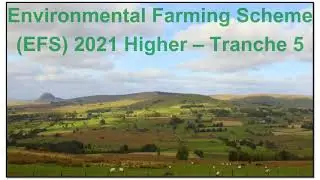 Environmental Farming Scheme (EFS) Higher Tranche 5 2021