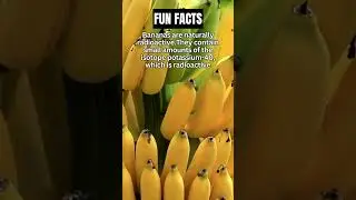 Truth About Bananas You Didn't Know About #shorts #foodfacts #funfacts #banana