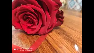 COMMENT FAIRE SÉCHER LES ROSES - CUSINE MALIYA - طريقتي لتجفيف الورد الطبيعي و تزيين  الحلويات بها