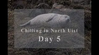 Wildlife Photography | VLOG &ndash; Day 5 | North Uist, Outer Hebrides, Scotland, UK