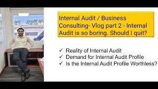 Internal Audit / Business Consulting-Vlog part 2 - Internal Audit is so booring. Should I quit?