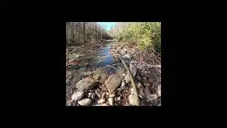 Hunt fish Falls trail  assessment, Lost Cove #chiefsholsters #hiking #wncstong #dayhike #wnc