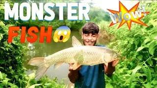 Hook fishing se pakda 4 kg ka bada fish 😱 🎣 | A.P-DAILY BLOG 