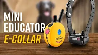 E-Collar Technologies: Мини-ошейник ET-300